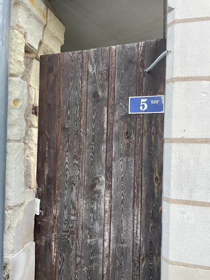 Appartamento La Palme Bleue - 5 Mn Du Zooparc De Beauval Saint-Aignan  Esterno foto